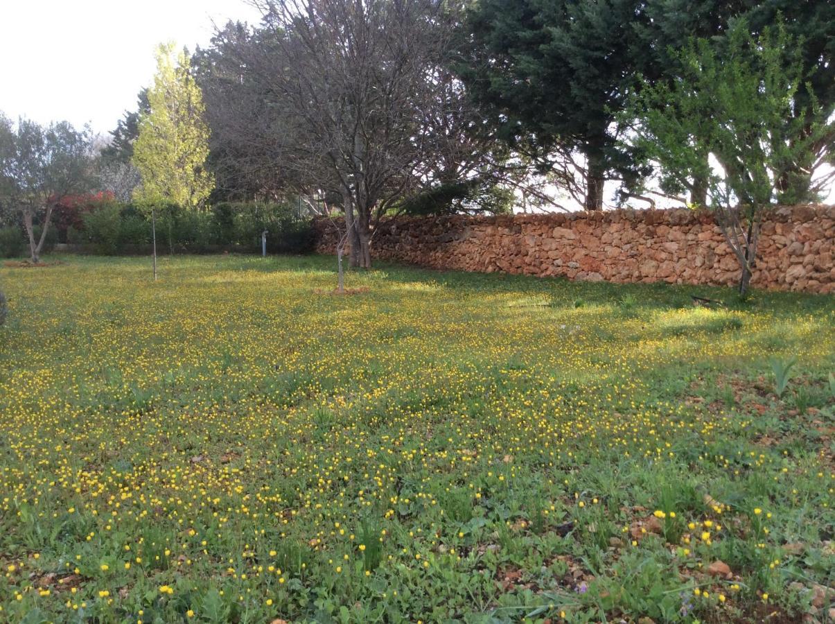 Villa Faro Provence Var Montfort-sur-Argens Екстер'єр фото